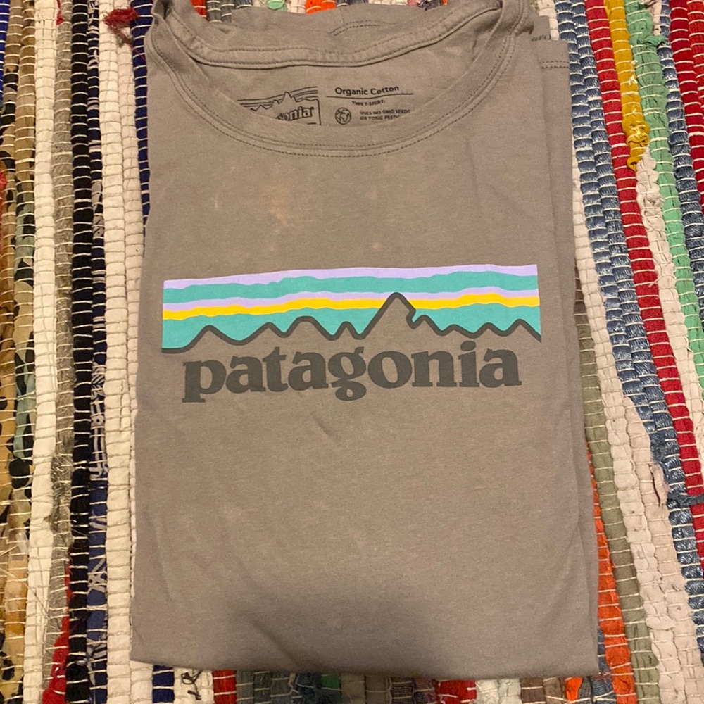 patagonia shirt